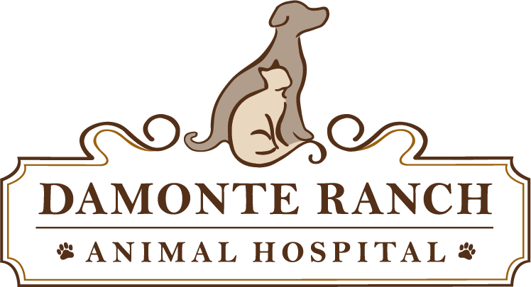 damonte ranch logo