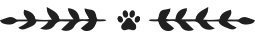 Offering In-House Diagnostics for Dogs and Cats  in Reno, NV