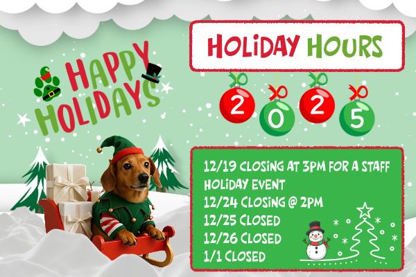 2025 Holiday Hours - Damonte